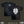 Old English GU 2026 Tee