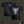 Tribal Carabao 2026 Tee